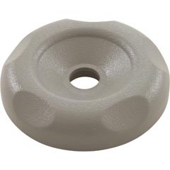 Waterway Plastics Cap, WW Top Access Diverter Valve, 2", Textured scal, Gray | 602-3597 Questions & Answers