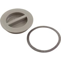 Waterway Plastics Flush Plug 1 1/2" W/Gasket-Gry | 400-4147 Questions & Answers