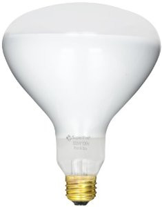 Super Pro Light Bulb 500W 120V R40 Med Base | R40FL500/HG Questions & Answers