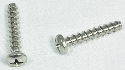 Hayward Cover Screw, Set Of 2, Self Tapping | WGX1030Z1A Questions & Answers