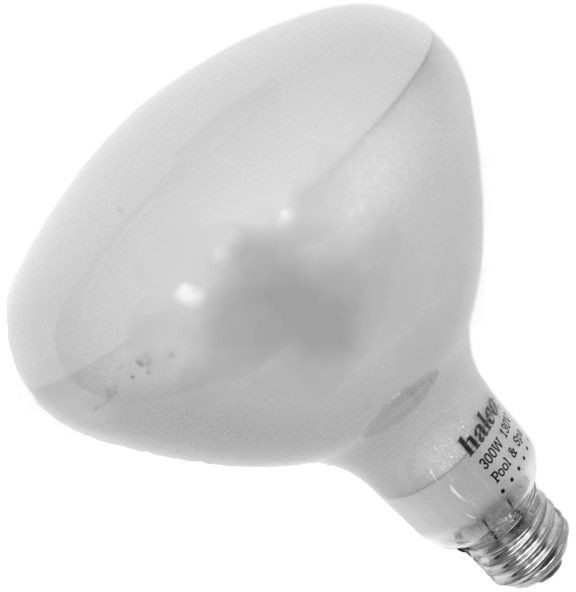 Super Pro Light Bulb 300W 120V R40 Medium Base | R40FL300/HG Questions & Answers