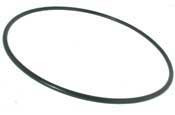 Pentair Oring, For 18" Tank (Before 11-94) | 53002800 Questions & Answers