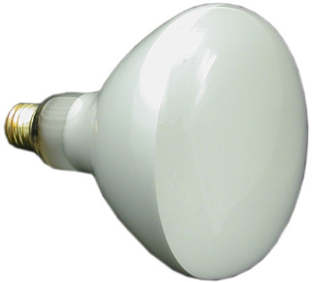 Hayward Astrolite Bulb, Flood 300W 120V | SPX542Z4 Questions & Answers