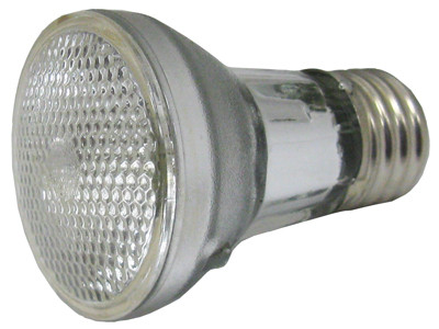 Hayward Astrolite Ii 100W Bulb - Incandescent W/9250-051 | SPX551Z4 Questions & Answers