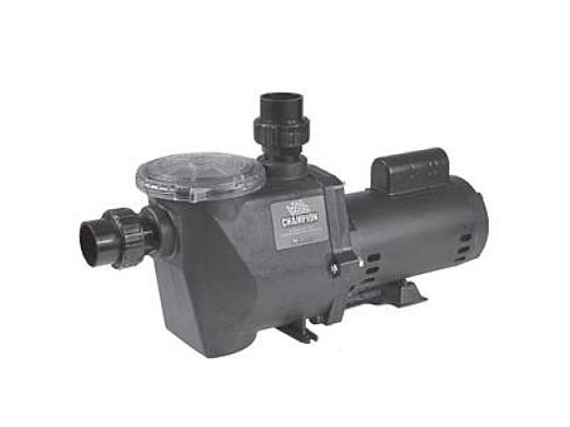 I currently have a Champe-120 pump. What would be a good variable speed pump to replace it?