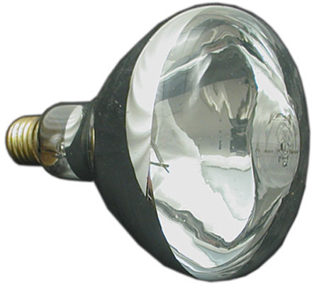 Pac-Fab Bulb, Flood 12V 300W | 614505 Questions & Answers