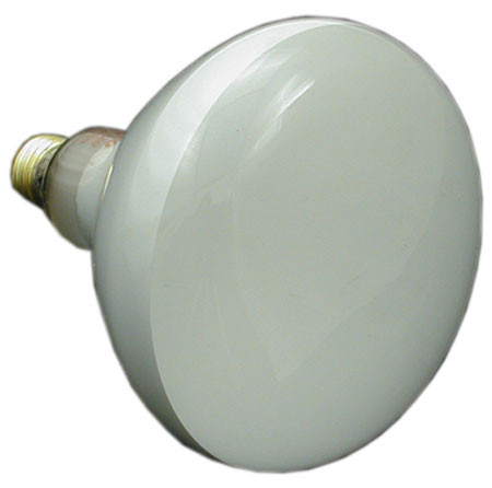 Sta-Rite/Swimquip Bulb, 120V 500W Flood | 34600-0003 Questions & Answers