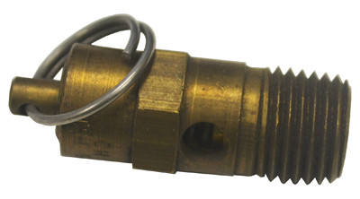 Pentair Pressure Relief Valve 1/4" Npt | 350087 Questions & Answers