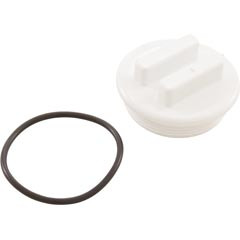 Waterway Plastics 2"N.P.T. Plug W/Oring | 400-6650 Questions & Answers